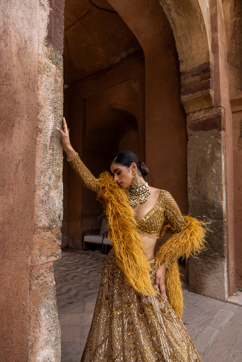 Buy Shyla Hand Embroidered Lehenga with Feathered Stole